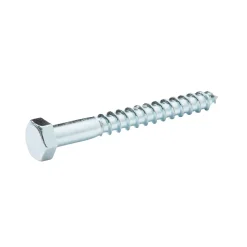 Tirefonds DIN 571 zingués 6x30 mm - 10 pièces