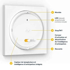Télécommande Amy Somfy blanc sun protect IO