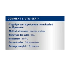 Traitement murs humides et salpêtre intérieur extérieur incolore Ripolin 2,5L