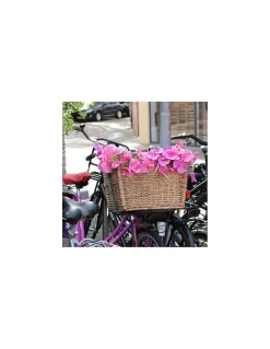 Tube de 12 tendeurs en caoutchouc à crochets, longueurs variées - THIRARD