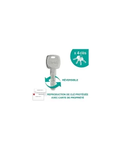 Verrou double entrée Transit 2 pour porte d'entrée, cylindre 40mm, 4 clés, époxy or - THIRARD