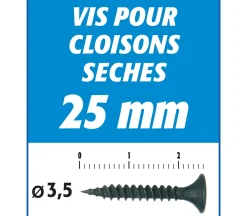 Vis Auto Perceuse 25 mm Semin - Fixation des Plaques de Plâtre sur l'Ossature - Intérieur - Boîte de 1000 Pièces