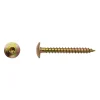 100 Vis Bois pour Penture Torx 6 x 60 mm - Zingué Bichro - D-Work